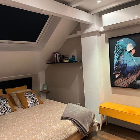 Charmant Duplex Privatise, Climatise, 2 Chambres Strasburg Zewnętrze zdjęcie