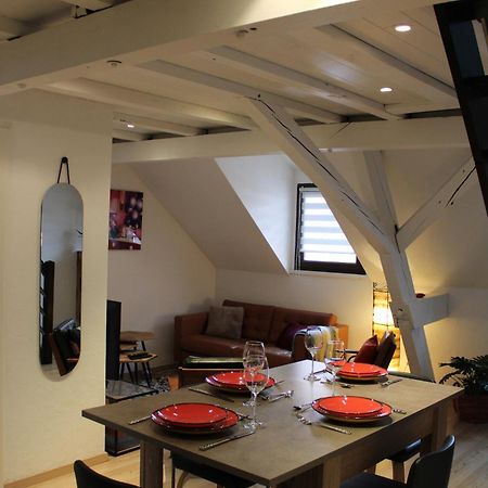 Charmant Duplex Privatise, Climatise, 2 Chambres Strasburg Zewnętrze zdjęcie