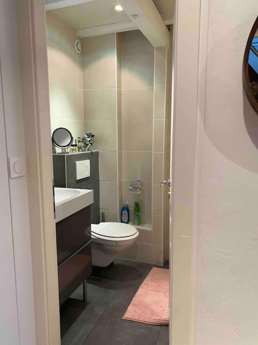 Charmant Duplex Privatise, Climatise, 2 Chambres Strasburg Zewnętrze zdjęcie