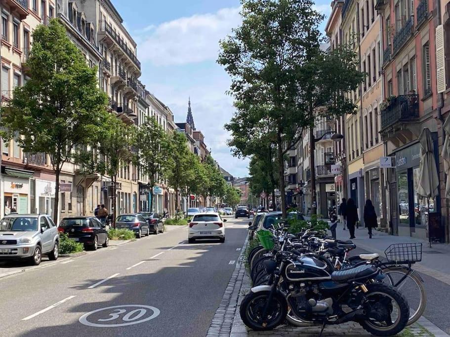 Charmant Duplex Privatise, Climatise, 2 Chambres Strasburg Zewnętrze zdjęcie