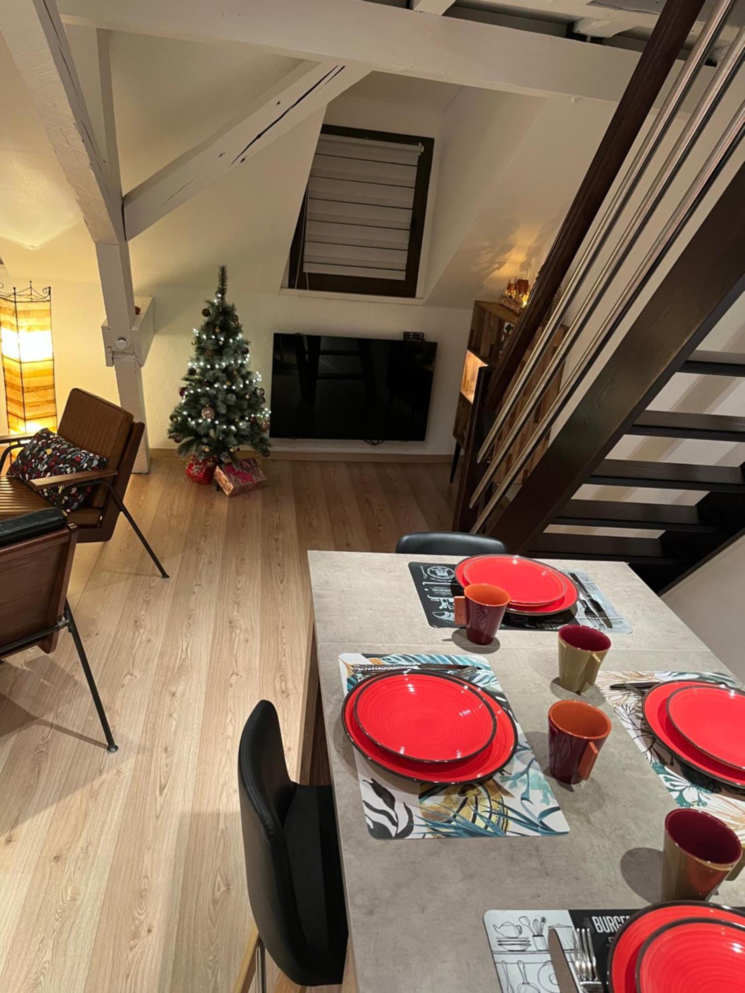Charmant Duplex Privatise, Climatise, 2 Chambres Strasburg Zewnętrze zdjęcie