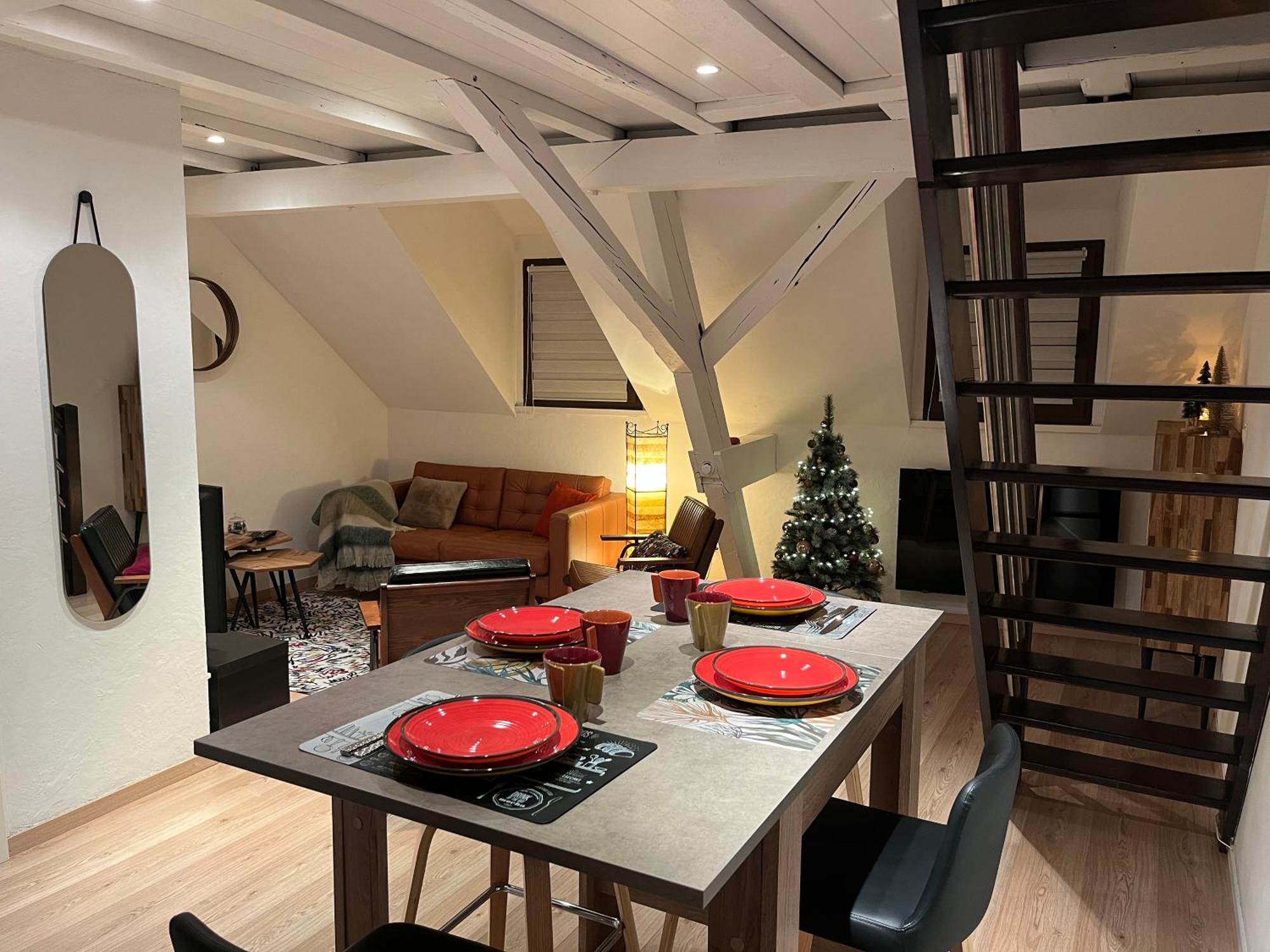 Charmant Duplex Privatise, Climatise, 2 Chambres Strasburg Zewnętrze zdjęcie